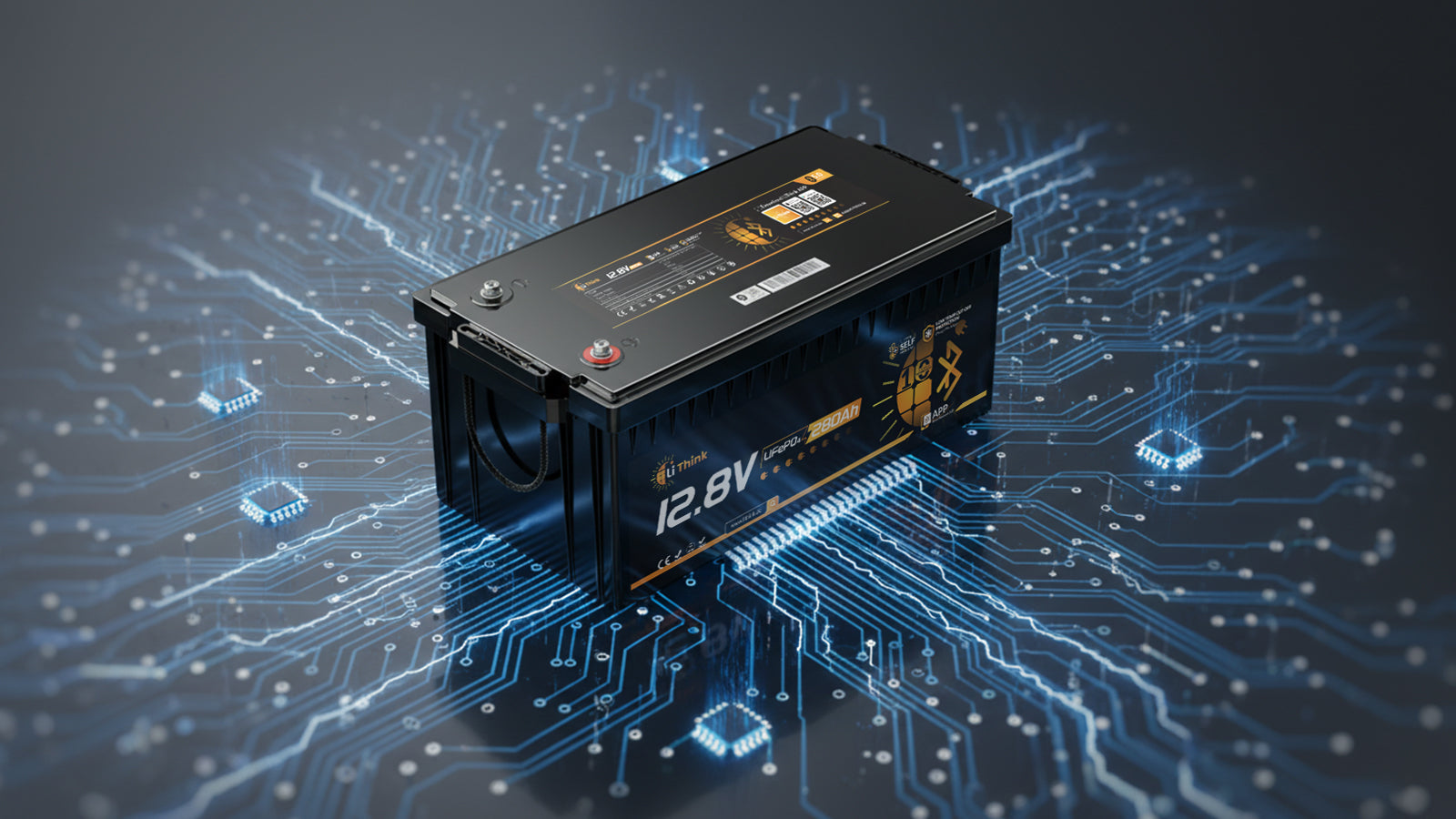 LiFePO₄ BMS System: Sicherheit & Schutz für Lithium-Batterien