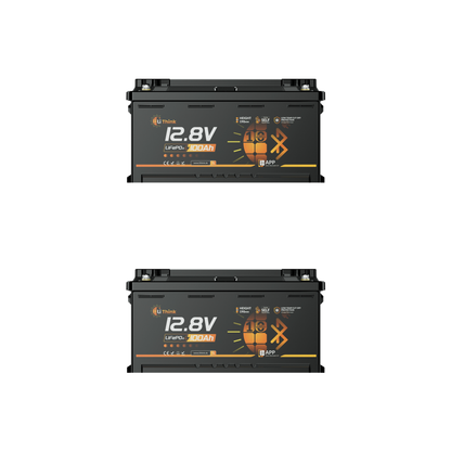 Lithink 12V 100Ah H190 LiFePO4 Batterie mit Bluetooth & Selbstheizung – DIN H8 für Wohnmobil-Untersitz