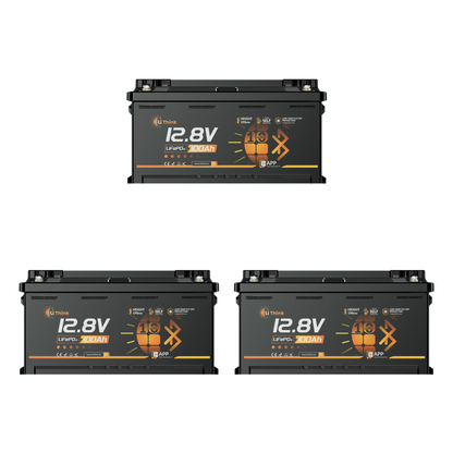 Lithink 12V 100Ah H190 LiFePO4 Batterie mit Bluetooth & Selbstheizung – DIN H8 für Wohnmobil-Untersitz