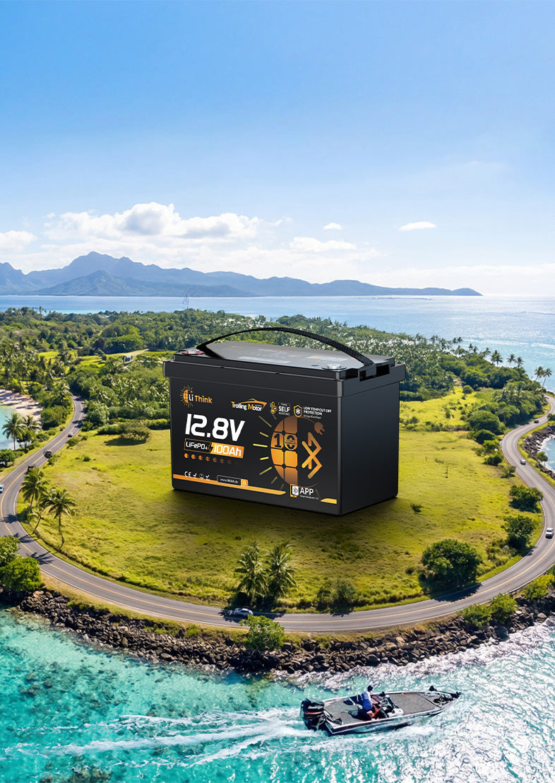 Home slide image: 12V 100Ah <strong>TM Bluetooth</strong>