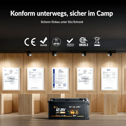 Lithink 12V 100Ah H190 LiFePO4 Batterie mit Bluetooth & Selbstheizung – DIN H8 für Wohnmobil-Untersitz