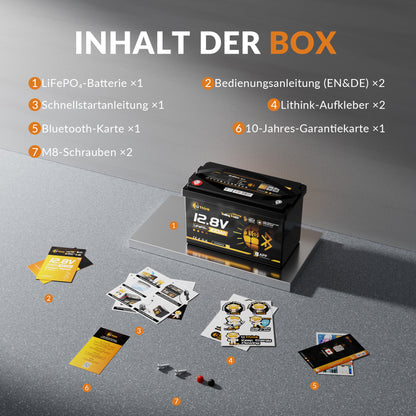 Lithink 12V 100Ah TM LiFePO4 Batterie mit Bluetooth & Selbstheizung – für Trolling Motor