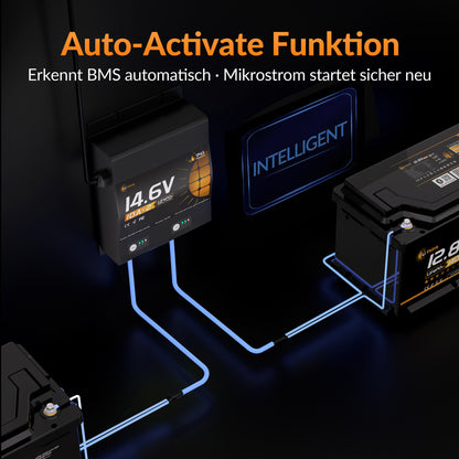 Lithink 14.6V 10A Wasserdichtes Doppelladegerät – für LiFePO₄, NCM und Blei-Batterien