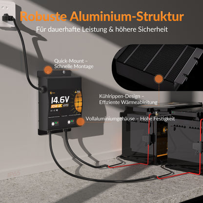 Lithink 14.6V 10A Wasserdichtes Doppelladegerät – für LiFePO₄, NCM und Blei-Batterien