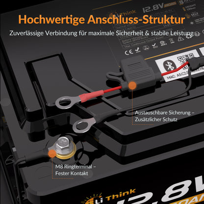 Lithink 14.6V 10A Wasserdichtes Doppelladegerät – für LiFePO₄, NCM und Blei-Batterien