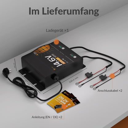 Lithink 14.6V 10A Wasserdichtes Doppelladegerät – für LiFePO₄, NCM und Blei-Batterien