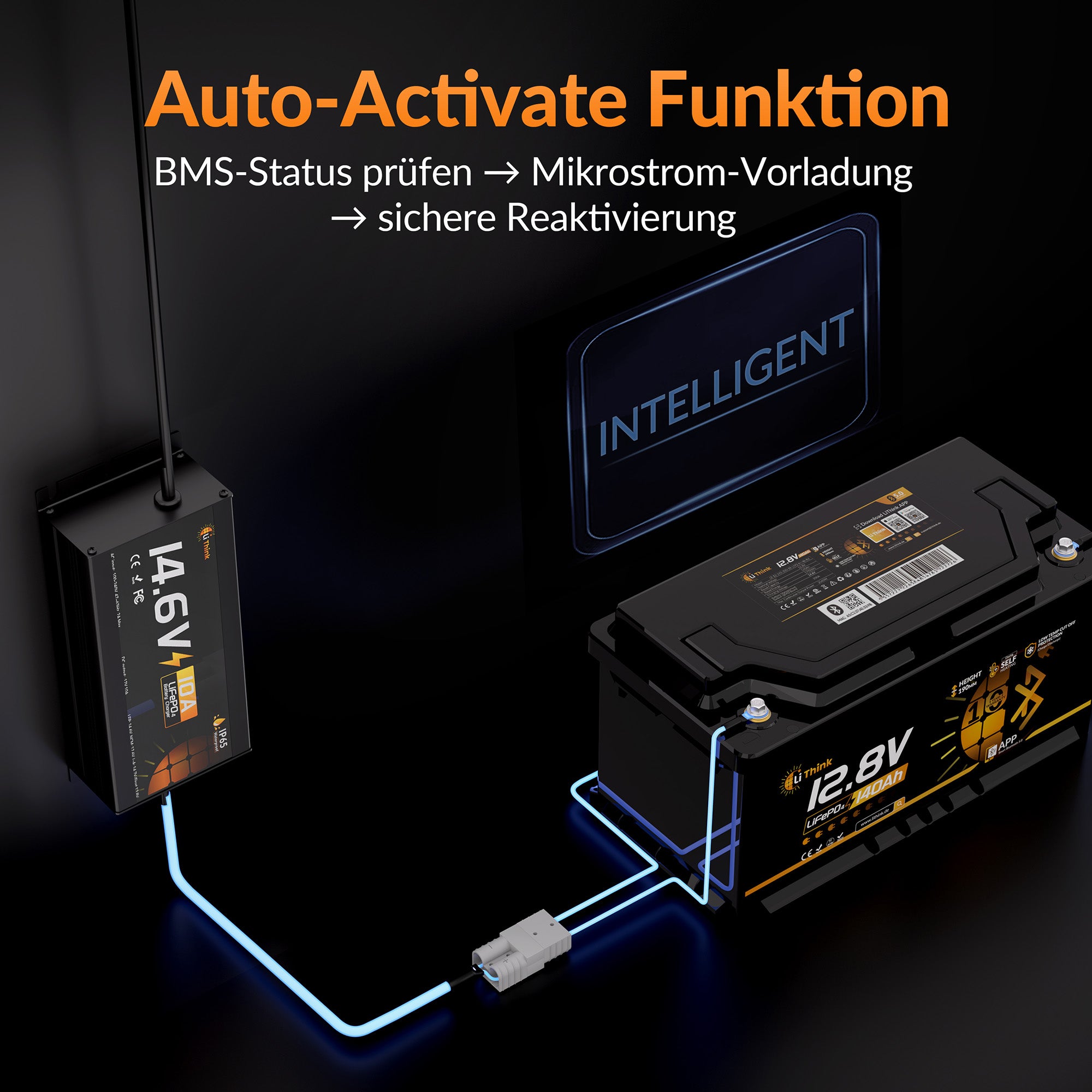 Lithink 14.6V 10A Wasserdichtes Ladegerät – für LiFePO₄, NCM und Blei-Batterien