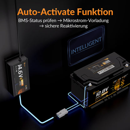 Lithink 14.6V 10A Wasserdichtes Ladegerät – für LiFePO₄, NCM und Blei-Batterien