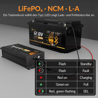 Lithink 14.6V 10A Wasserdichtes Ladegerät – für LiFePO₄, NCM und Blei-Batterien