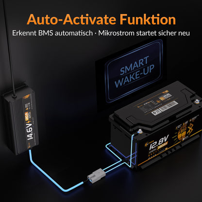 Lithink 14.6V 20A Wasserdichtes Schnellladegerät – für LiFePO₄, NCM und Blei-Batterien