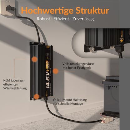 Lithink 14.6V 20A Wasserdichtes Schnellladegerät – für LiFePO₄, NCM und Blei-Batterien