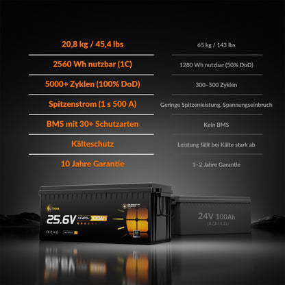 Lithink 24V 100Ah LiFePO4 Batterie mit Tiefentladung & Kälteschutz – für Trolling Motor, Wohnmobil & Solaranlage