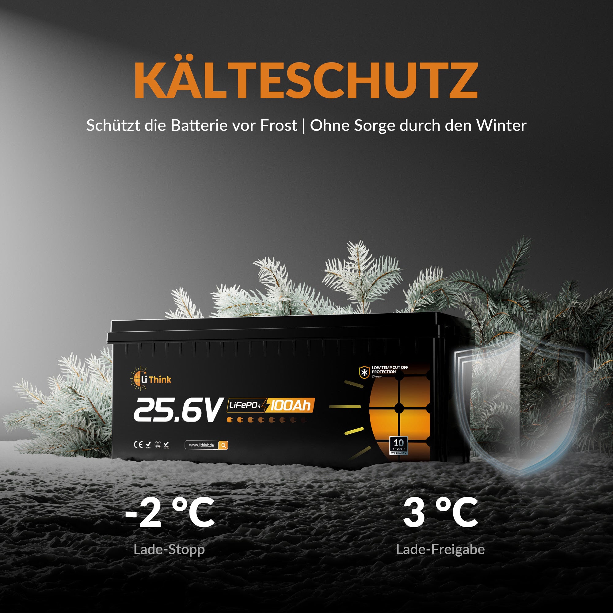 Lithink 24V 100Ah LiFePO4 Batterie mit Tiefentladung & Kälteschutz – für Trolling Motor, Wohnmobil & Solaranlage
