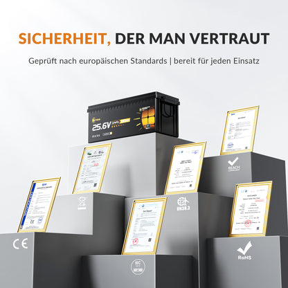 Lithink 24V 100Ah LiFePO4 Batterie mit Tiefentladung & Kälteschutz – für Trolling Motor, Wohnmobil & Solaranlage