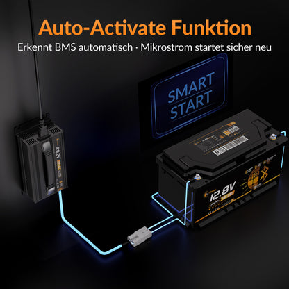 Lithink 29.2V 20A Ladegerät mit aktivem Lüfter – für LiFePO₄, NCM und Blei-Batterien