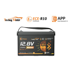Lithink_12V_100Ah_TM_LiFePO4_Batterie_mit_Bluetooth