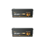 24V 100Ah Розумний