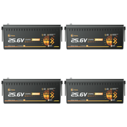 24V 100Ah Розумний